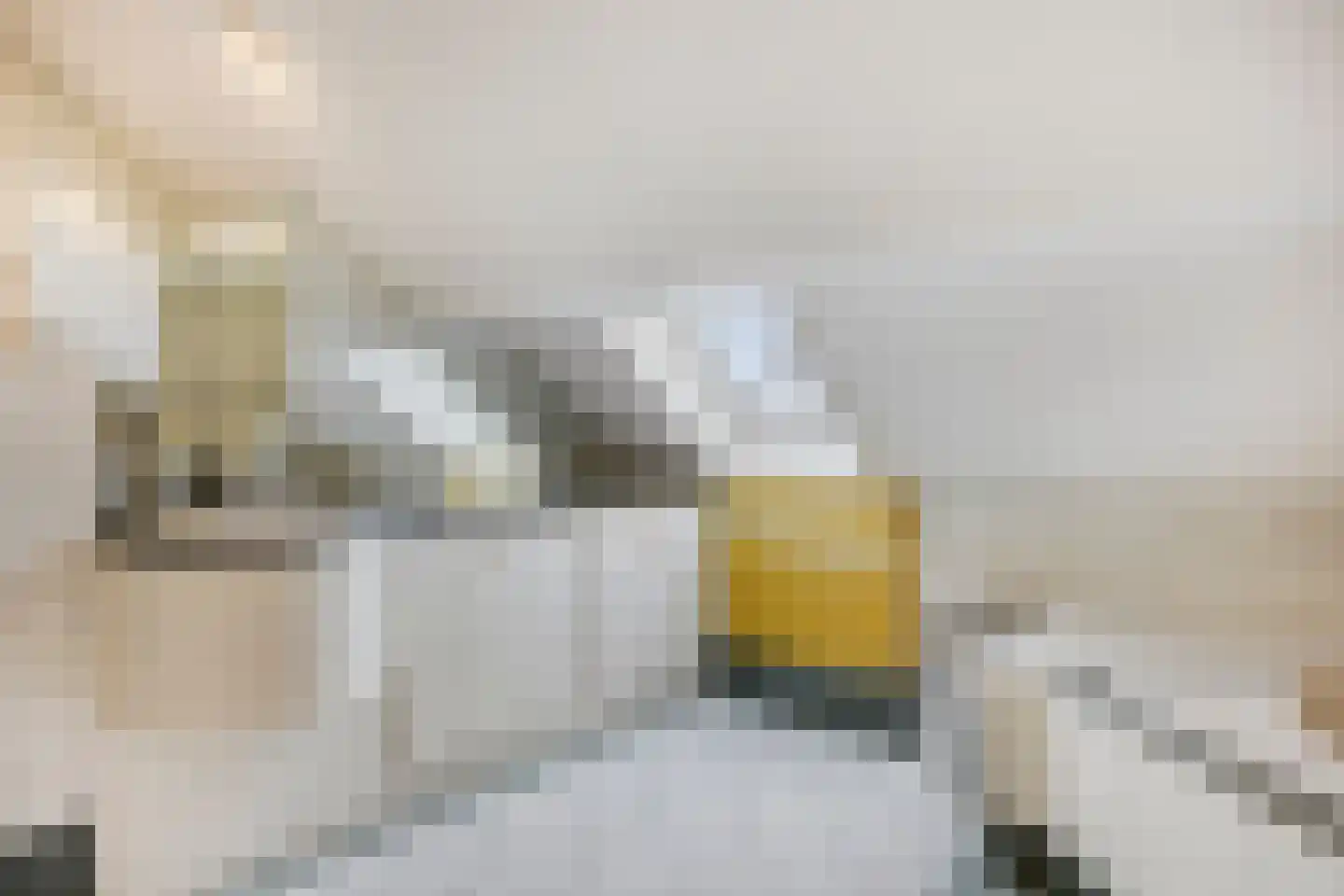 Wijststraat 29 Heesch thumbnail 68