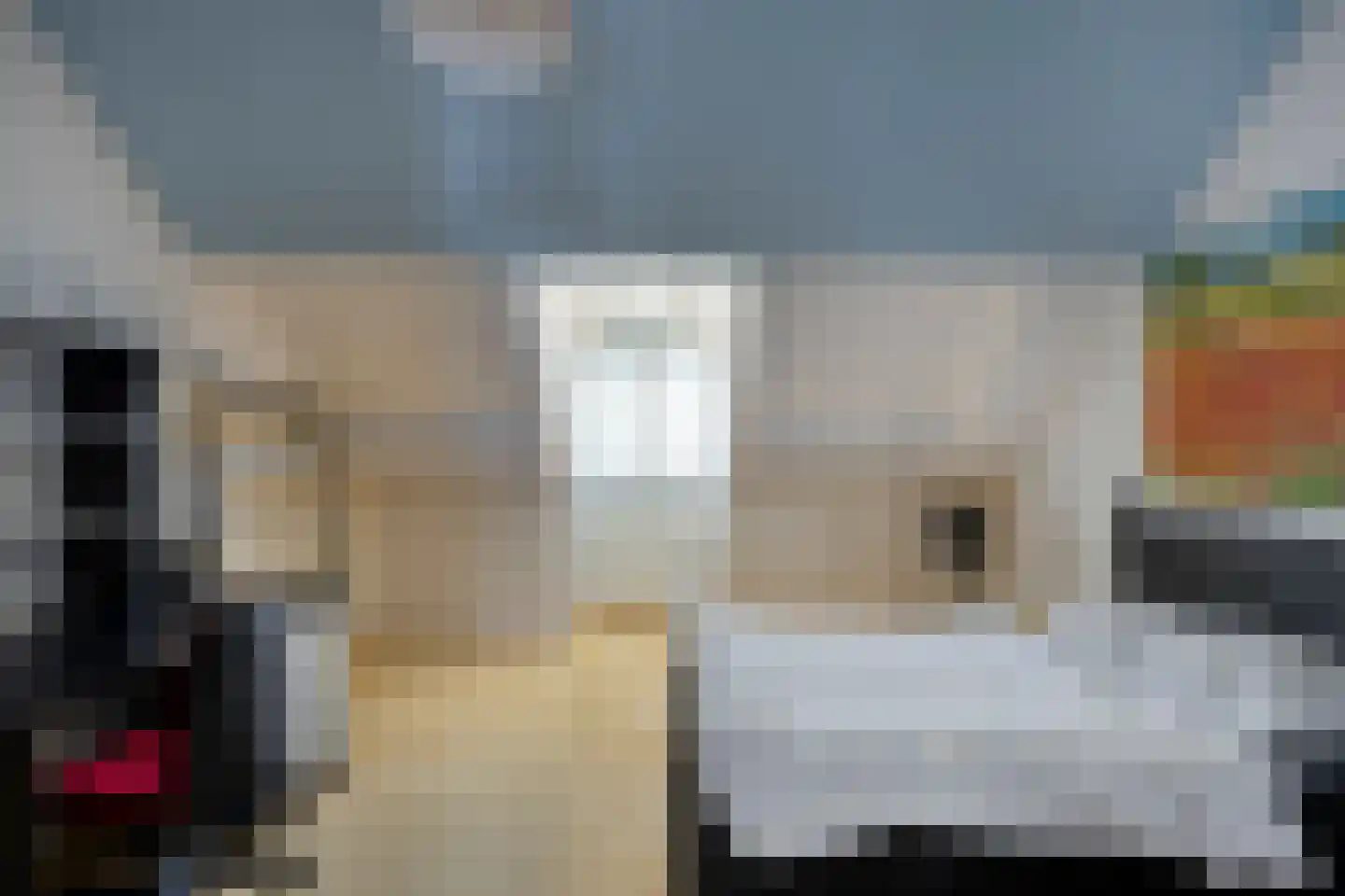 Wijststraat 29 Heesch thumbnail 70