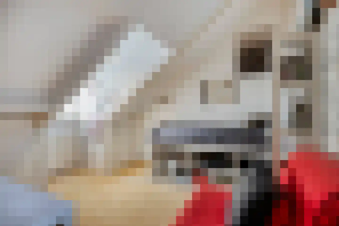 Wijststraat 29 Heesch thumbnail 74