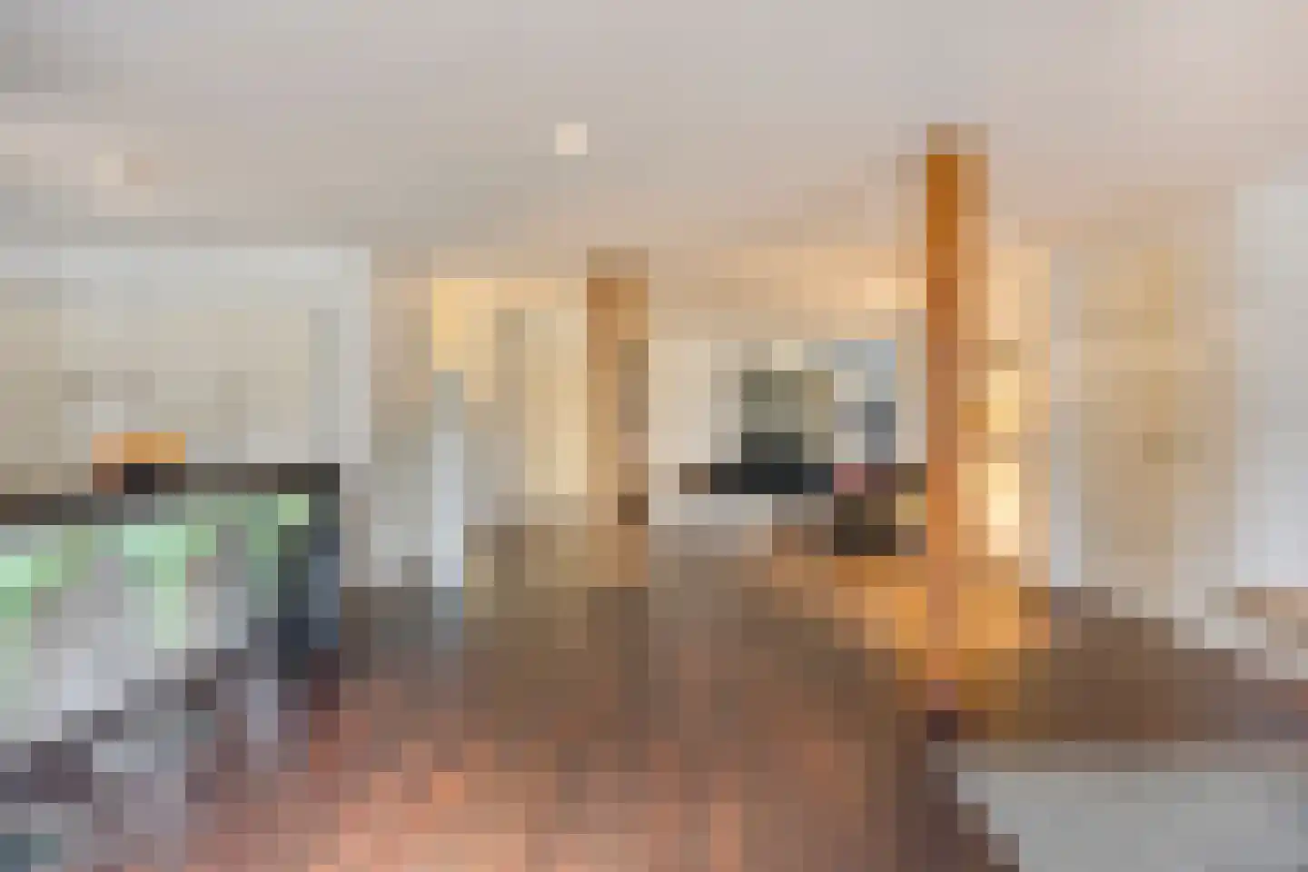 Wijststraat 29 Heesch thumbnail 8