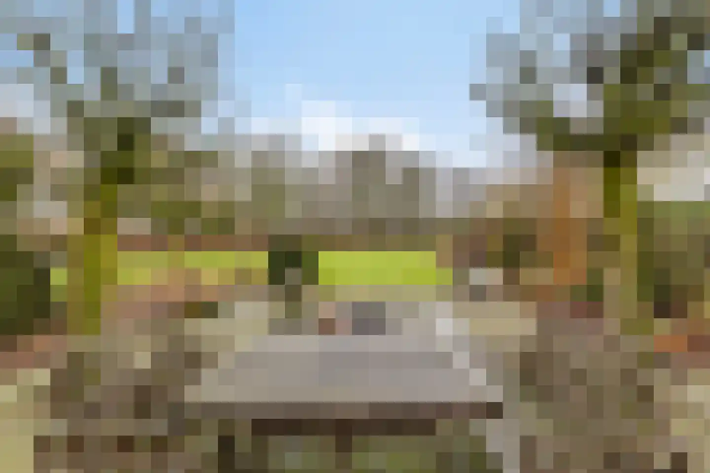 Wijststraat 29 Heesch thumbnail 89