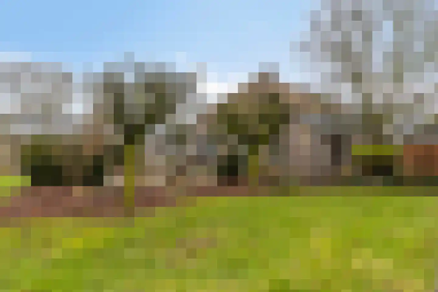Wijststraat 29 Heesch thumbnail 94