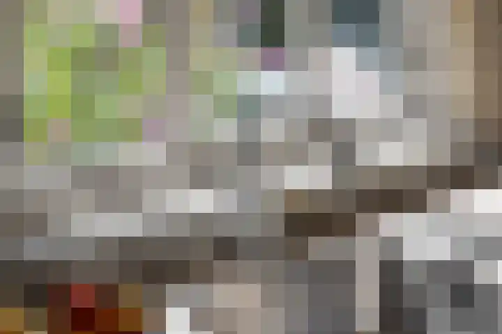 Wijststraat 37 Heesch thumbnail 14