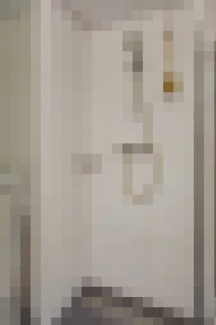 Wijststraat 37 Heesch thumbnail 20