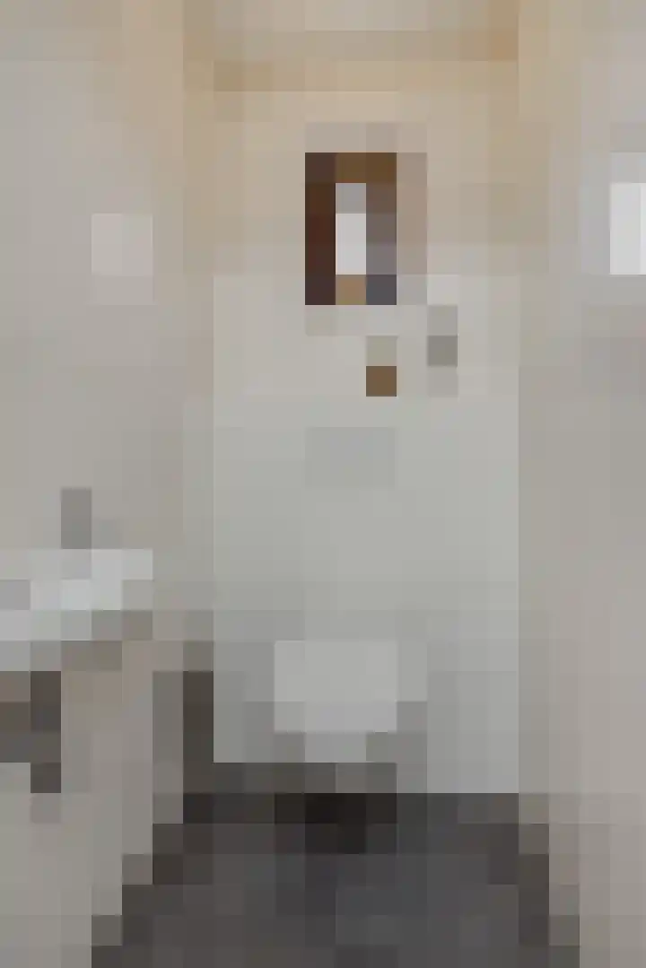 Wijststraat 37 Heesch thumbnail 21