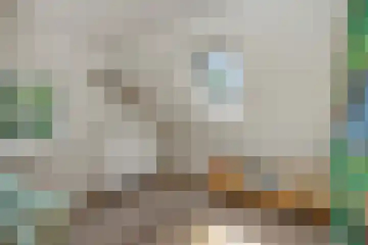 Wijststraat 37 Heesch thumbnail 38