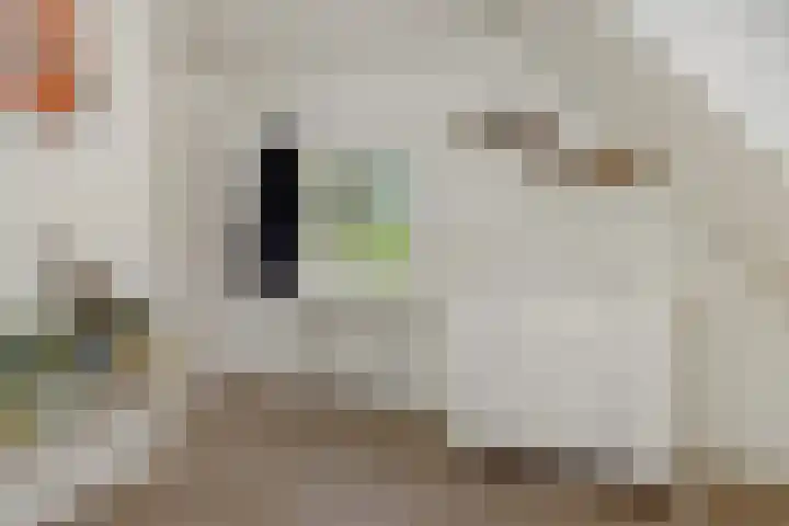 Wijststraat 37 Heesch thumbnail 39
