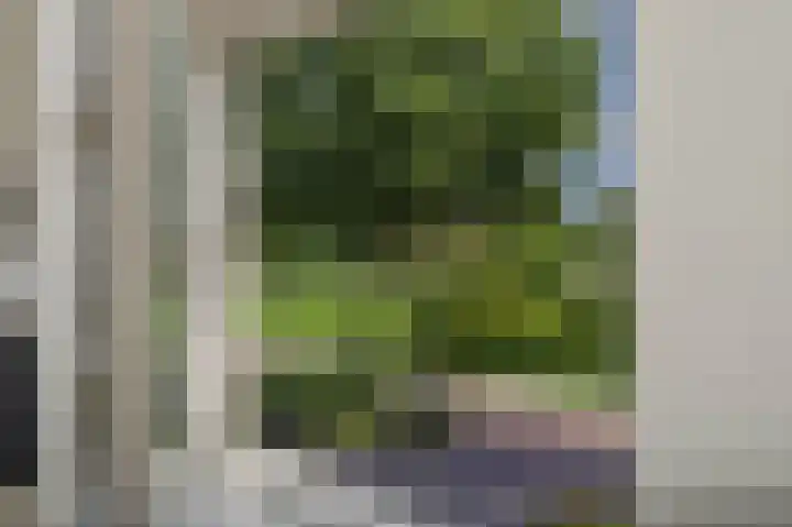Wijststraat 37 Heesch thumbnail 40