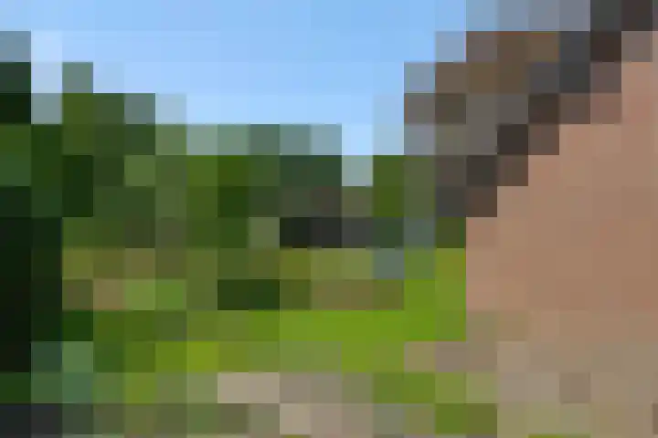 Wijststraat 37 Heesch thumbnail 52