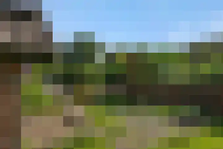 Wijststraat 37 Heesch thumbnail 57