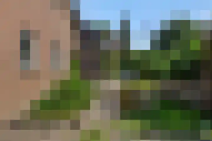 Wijststraat 37 Heesch thumbnail 58