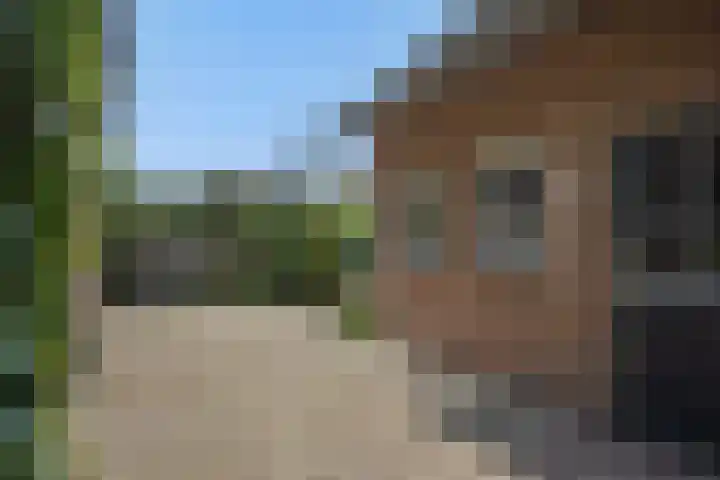 Wijststraat 37 Heesch thumbnail 61