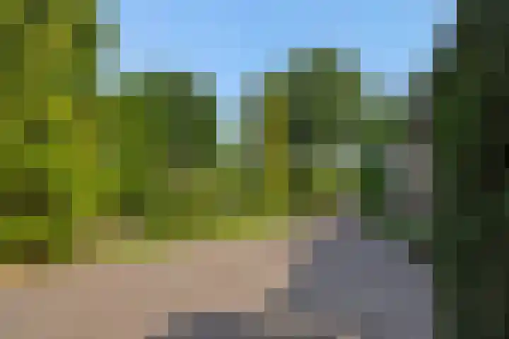 Wijststraat 37 Heesch thumbnail 62
