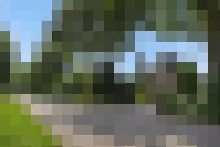 Wijststraat 37 Heesch thumbnail 66