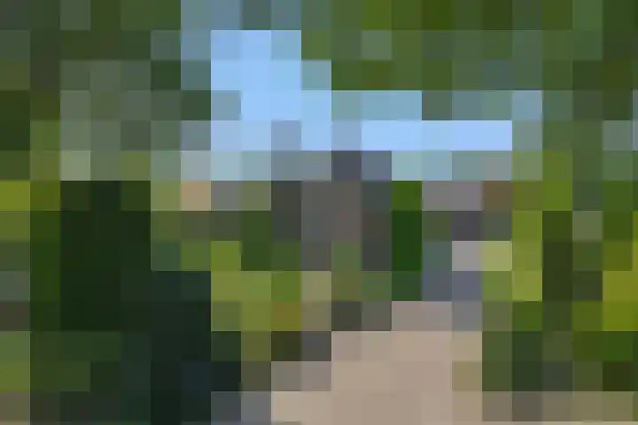 Wijststraat 37 Heesch thumbnail 67