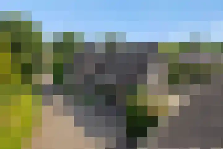 Wijststraat 37 Heesch thumbnail 69