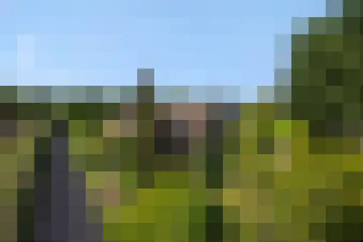 Wijststraat 37 Heesch thumbnail 70