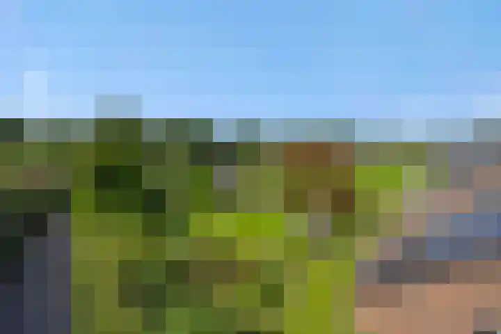 Wijststraat 37 Heesch thumbnail 72