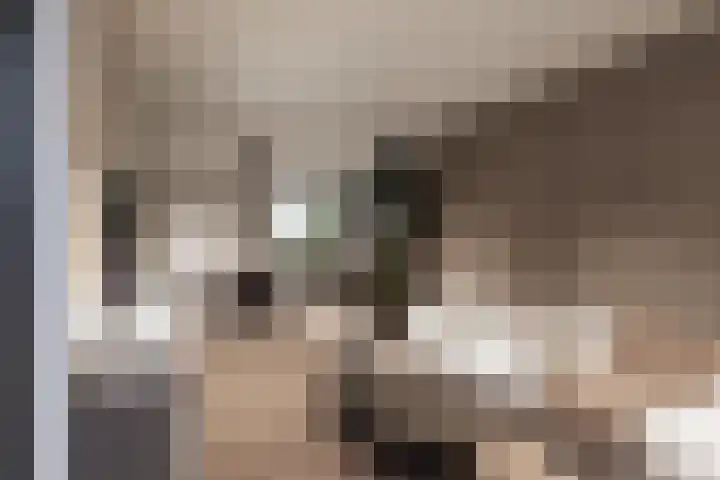 Wijtenhofstraat 9 Someren thumbnail 4