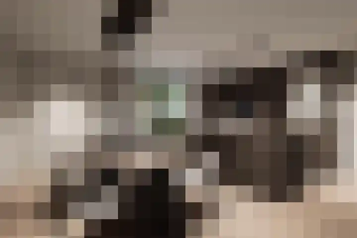 Wijtenhofstraat 9 Someren thumbnail 6