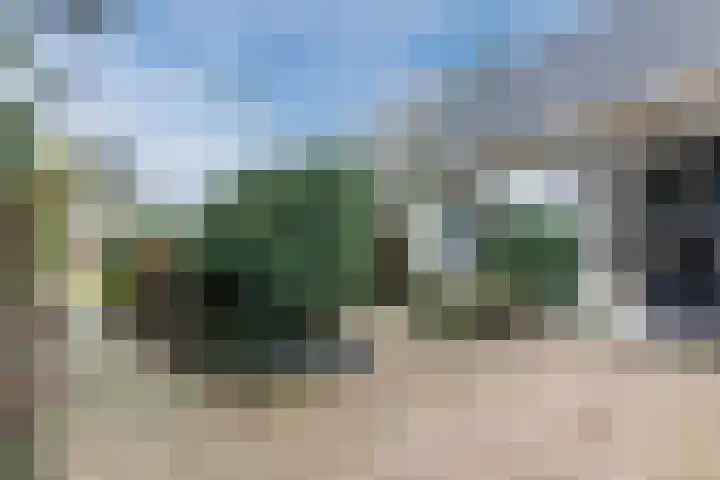 Wijtgraaf 33 Hierden thumbnail 13