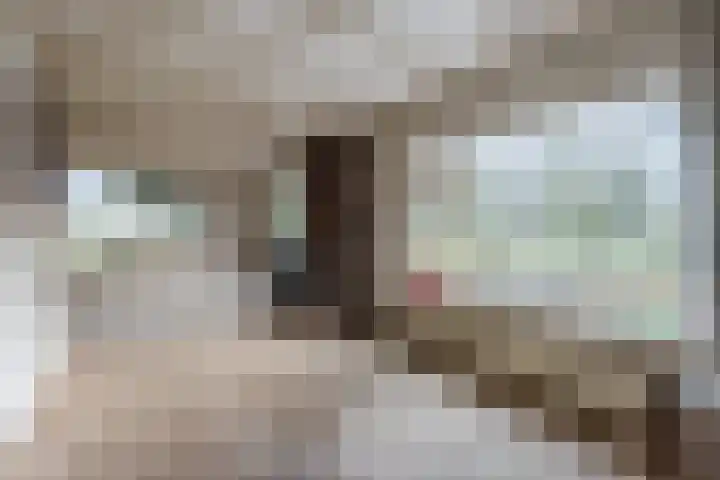 Wijtgraaf 33 Hierden thumbnail 15