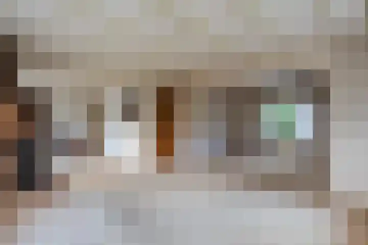 Wijtgraaf 33 Hierden thumbnail 17