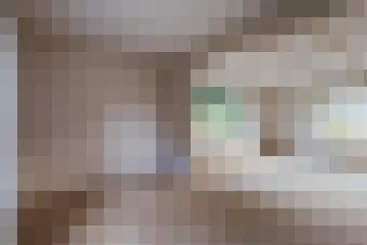 Wijtgraaf 33 Hierden thumbnail 20