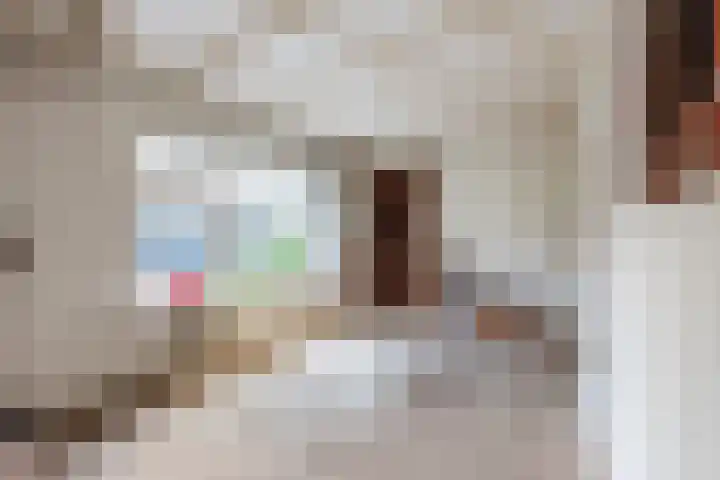 Wijtgraaf 33 Hierden thumbnail 22