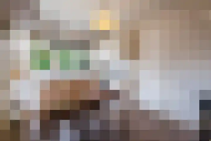 Wijtgraaf 33 Hierden thumbnail 24