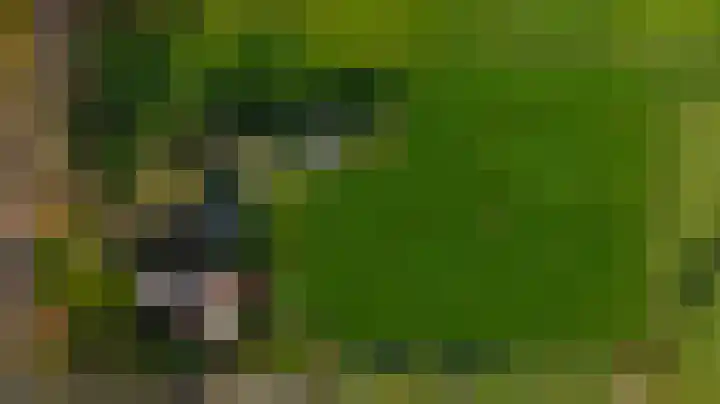 Wijtgraaf 33 Hierden thumbnail 4