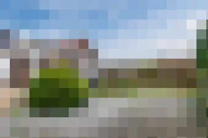 Wijtgraaf 33 Hierden thumbnail 40