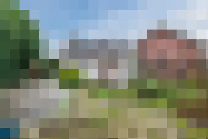 Wijtgraaf 33 Hierden thumbnail 41