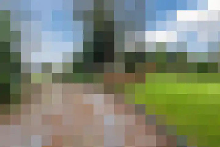 Wijtgraaf 33 Hierden thumbnail 42
