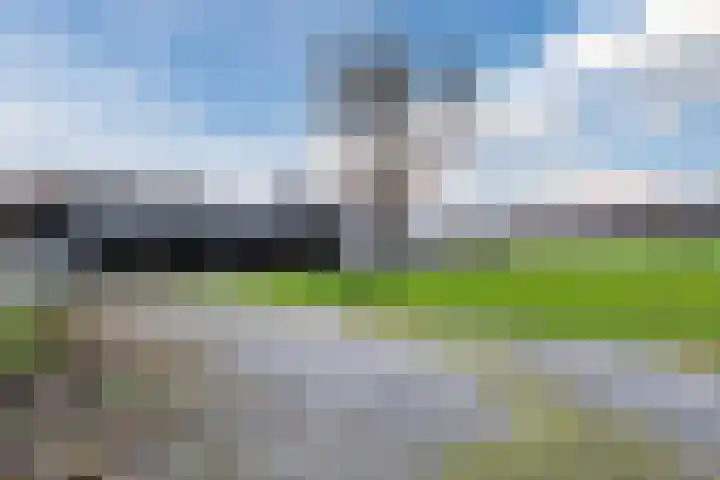 Wijtgraaf 33 Hierden thumbnail 43