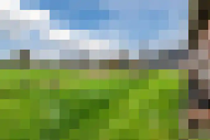 Wijtgraaf 33 Hierden thumbnail 45