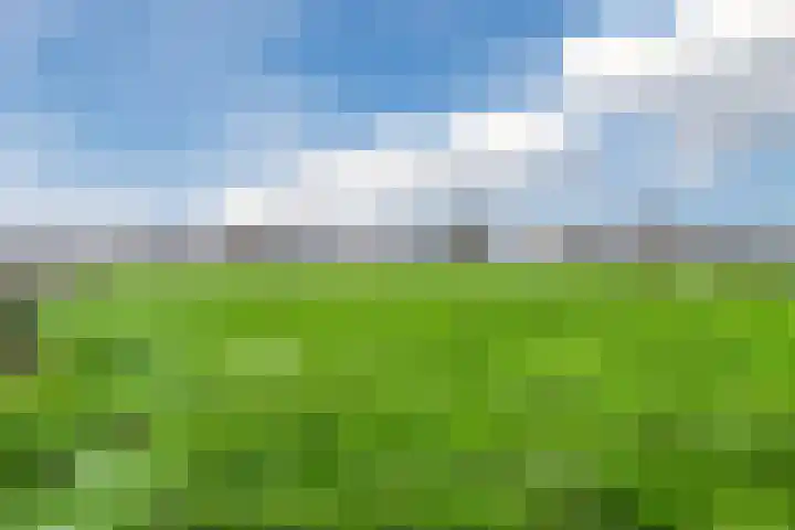 Wijtgraaf 33 Hierden thumbnail 47