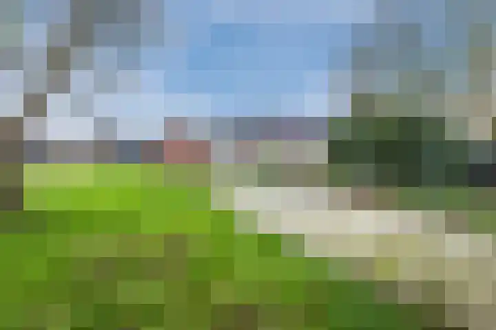 Wijtgraaf 33 Hierden thumbnail 49