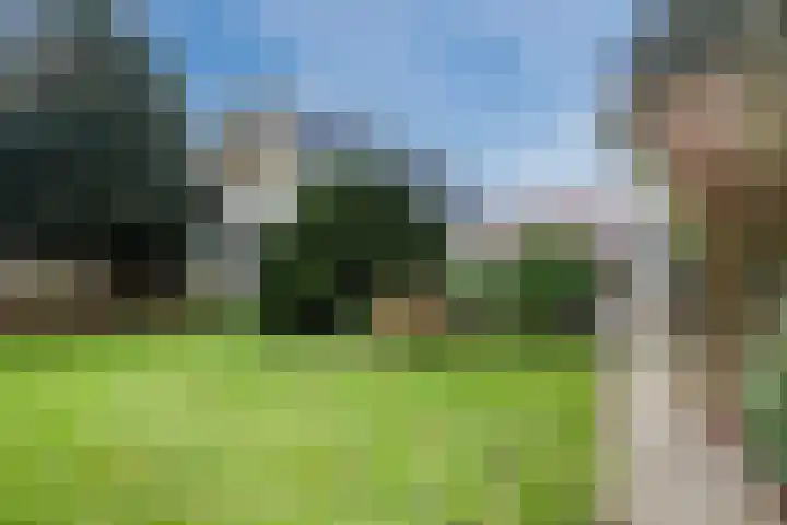 Wijtgraaf 33 Hierden thumbnail 5