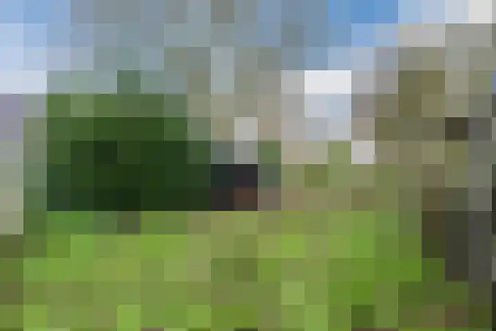 Wijtgraaf 33 Hierden thumbnail 50