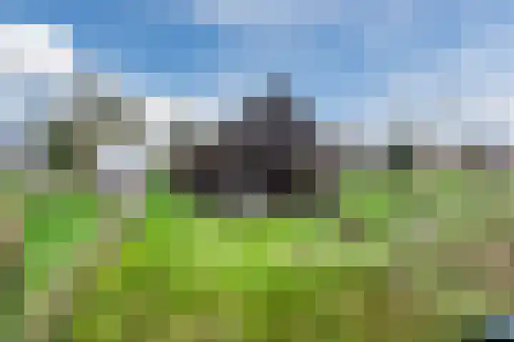 Wijtgraaf 33 Hierden thumbnail 51