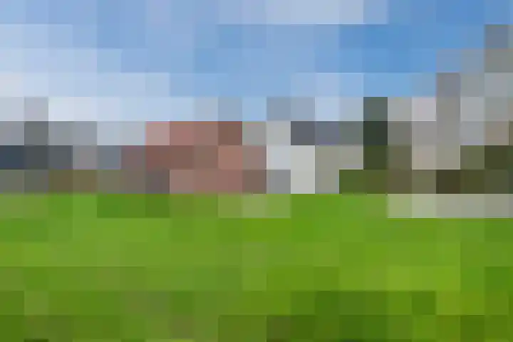 Wijtgraaf 33 Hierden thumbnail 52