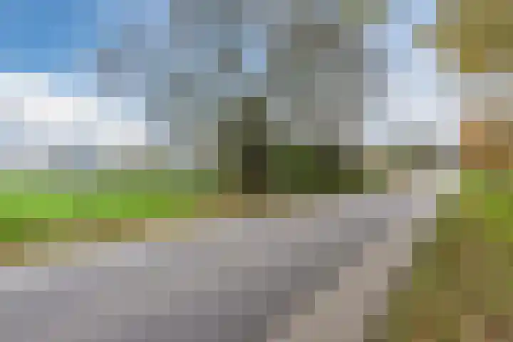 Wijtgraaf 33 Hierden thumbnail 53