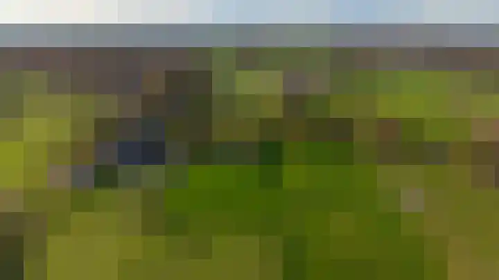 Wijtgraaf 33 Hierden thumbnail 54