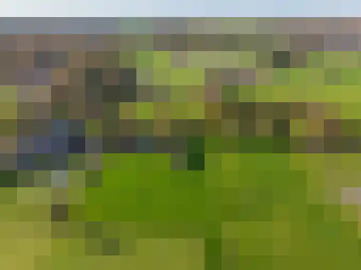 Wijtgraaf 33 Hierden thumbnail 55