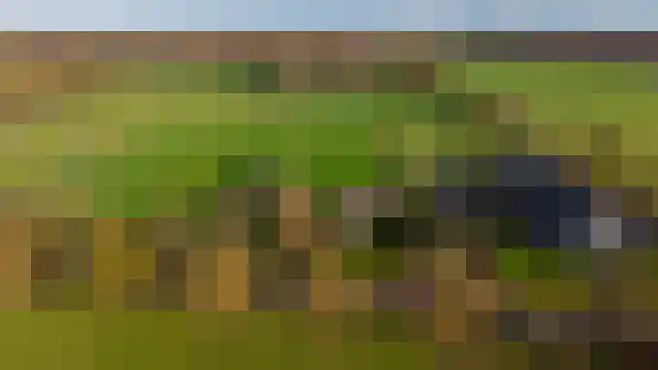 Wijtgraaf 33 Hierden thumbnail 56