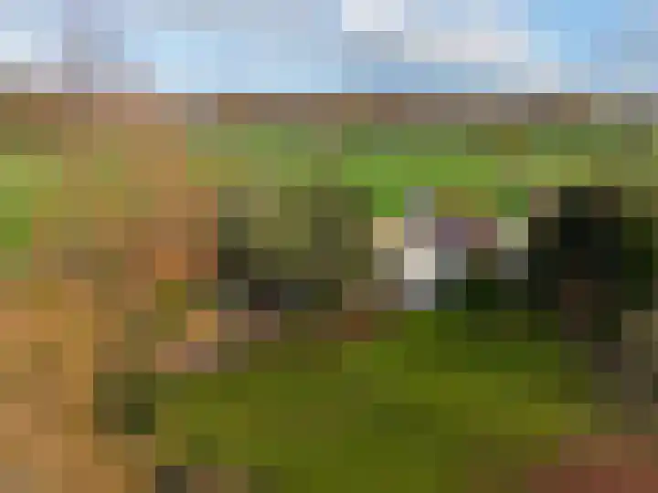 Wijtgraaf 33 Hierden thumbnail 57