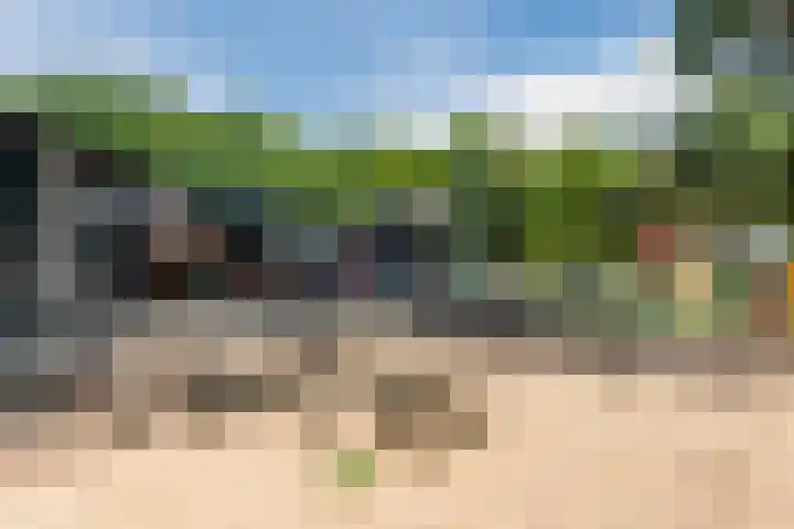 Wijtgraaf 33 Hierden thumbnail 58