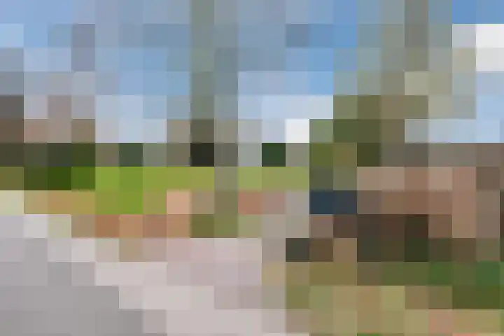 Wijtgraaf 33 Hierden thumbnail 6