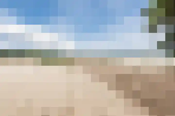 Wijtgraaf 33 Hierden thumbnail 60